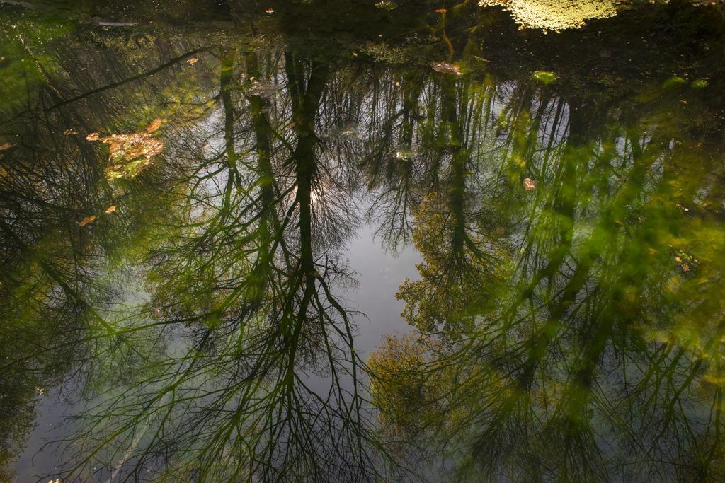 Quinta Do Fontelo Villa Vouzela Buitenkant foto