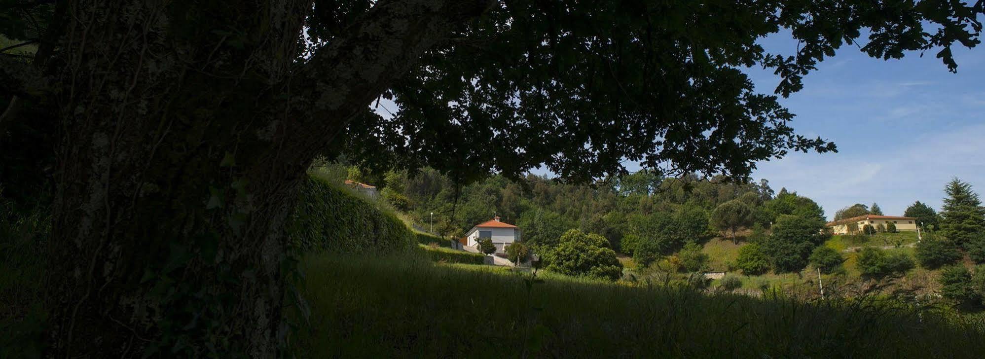 Quinta Do Fontelo Villa Vouzela Buitenkant foto